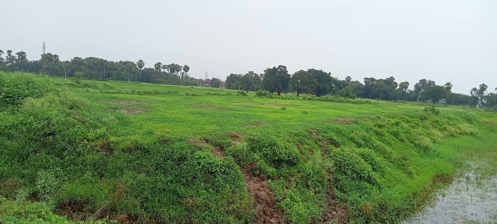 Slide 8